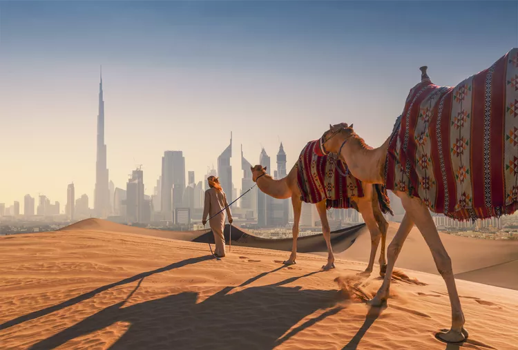 uae company setup