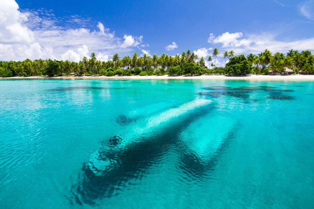 Marshall Islands Company Registration