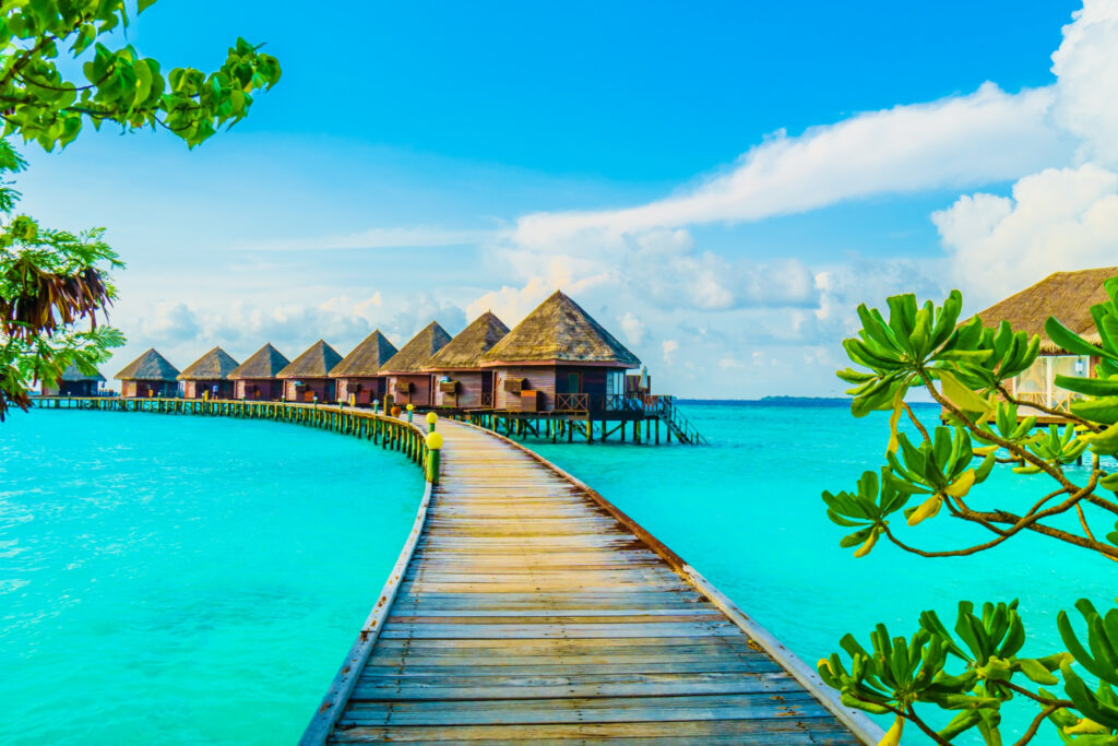 Offshore Asset Protection Trusts
